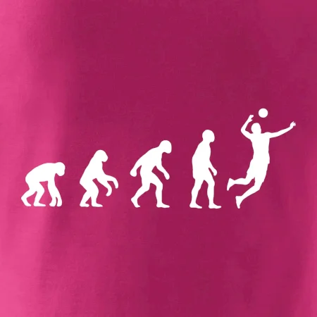 Evolúcia volejbal smeč