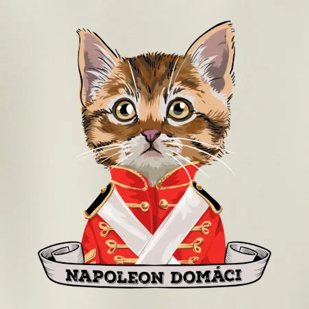 Napoleon domáci mačka