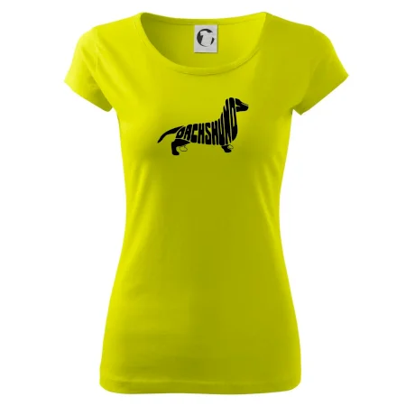Jazvečík - Dachshund