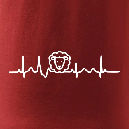 Ekg ovce