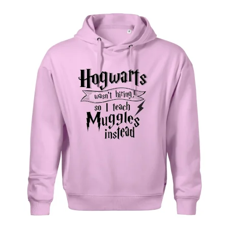 Harry - Hogwarts wasn’t hiring, so I teach Muggles instead