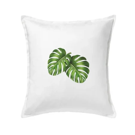 Monstera - dva listy