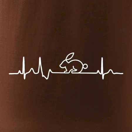 EKG králik