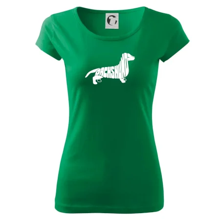 Jazvečík - Dachshund