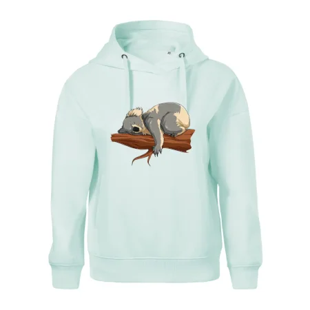 Koala na vetve