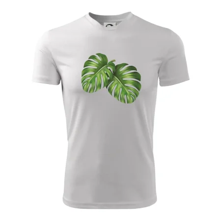 Monstera - dva listy