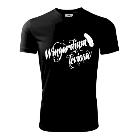 Harry - Wingardium Leviosa