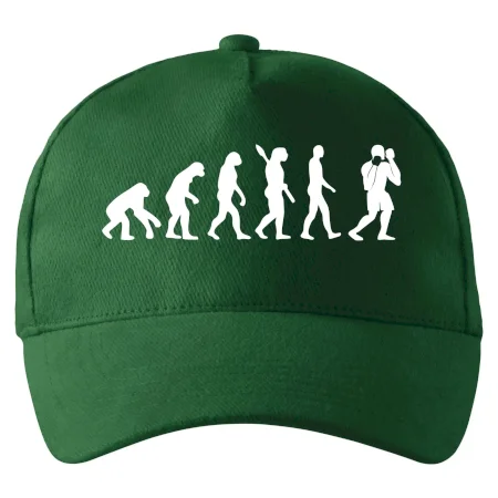 Evolúcia box