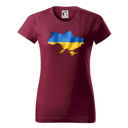 Ukrajina vlajka mapa