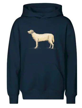 Vintage Labrador