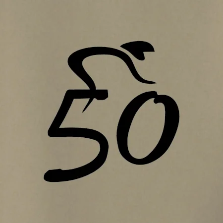 Cyklista oslavuje päťdesiatku (50)