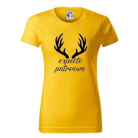 Harry - Expecto patronum