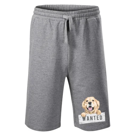 Zlatý retriever - šteniatko wanted