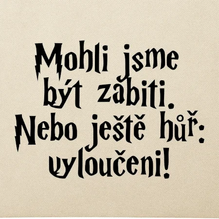 Mohli jsme být zabiti. Nebo ještě hůř vyloučeni