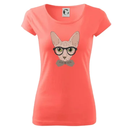 Hipster sphynx