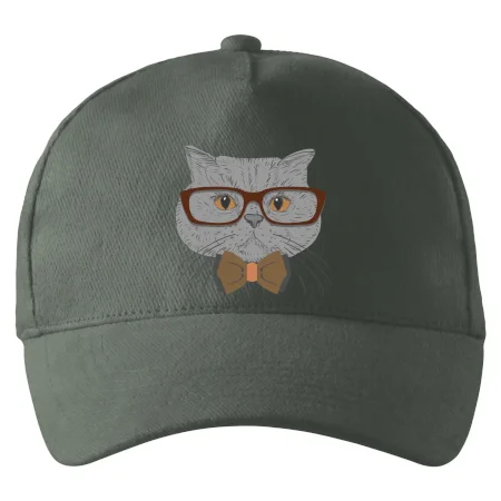 Hipster britská modrá