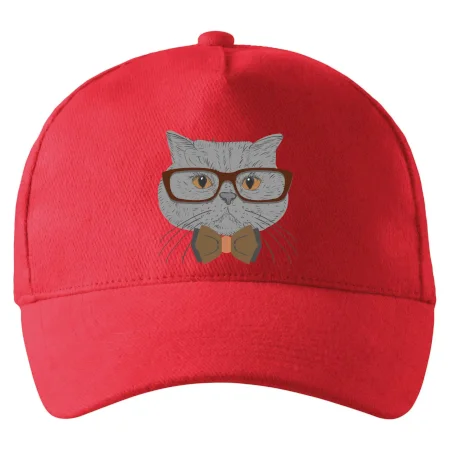Hipster britská modrá