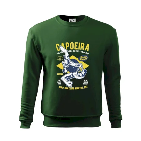 Capoeira  Afro-brazil art