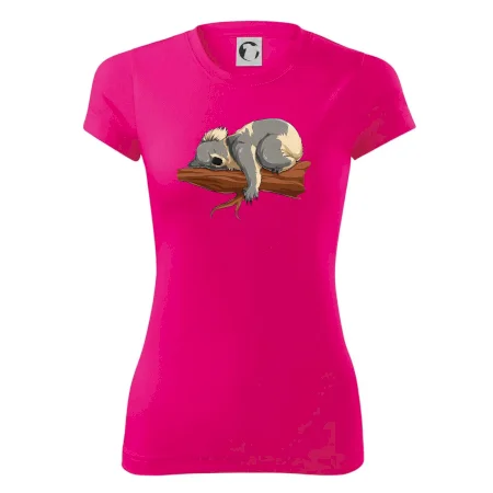 Koala na vetve