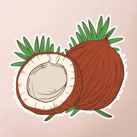 Kokos