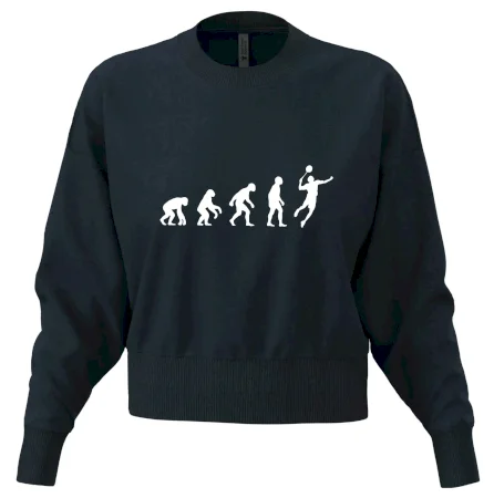 Evolúcia Bedminton