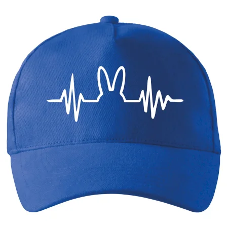 EKG zajac