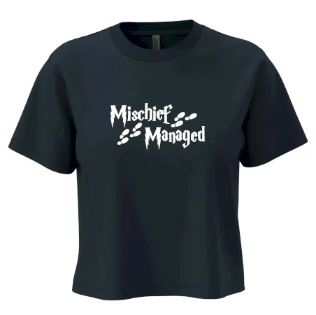 Harry - Mischief Managed