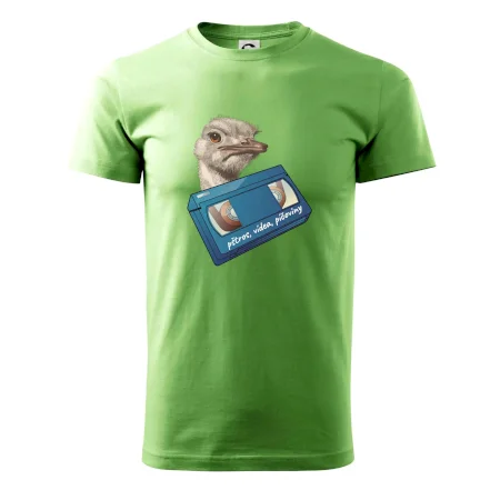 Pštrosi vídea