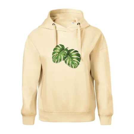 Monstera - dva listy