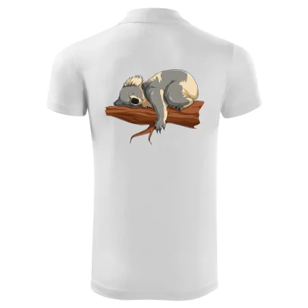 Koala na vetve