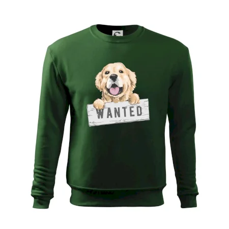 Zlatý retriever - šteniatko wanted