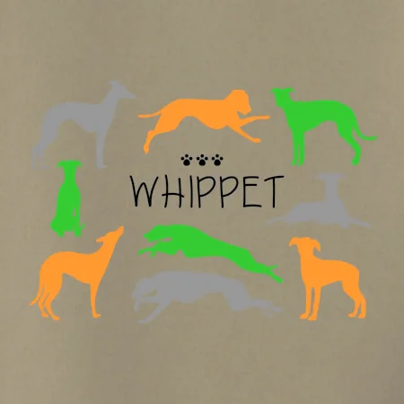 Whippet farebný