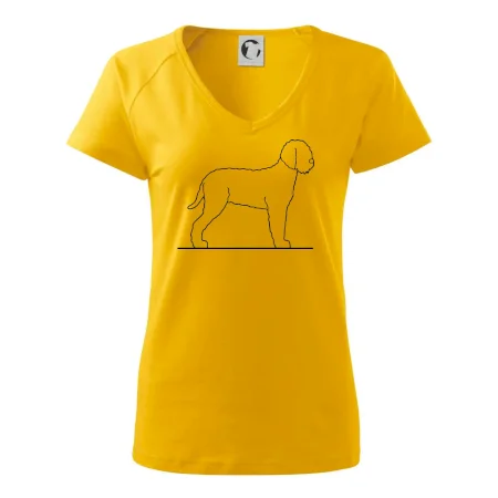 Lagotto romagnolo stojaci