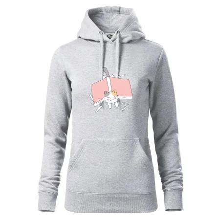 Učenie na štátnice mačka