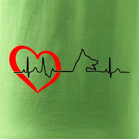Nemecký ovčiak ekg