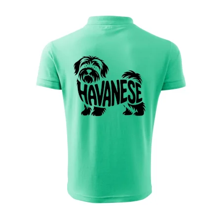Havanese nápis v tele