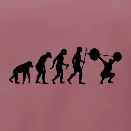 Evolution fitness