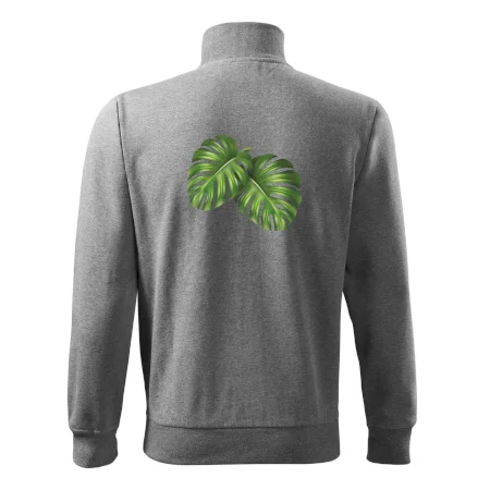 Monstera - dva listy