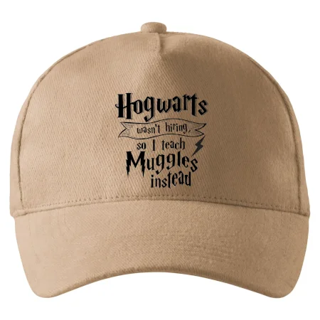 Harry - Hogwarts wasn’t hiring, so I teach Muggles instead