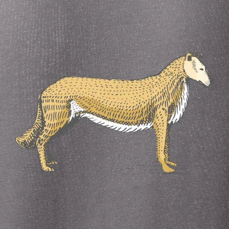 Vintage Collie