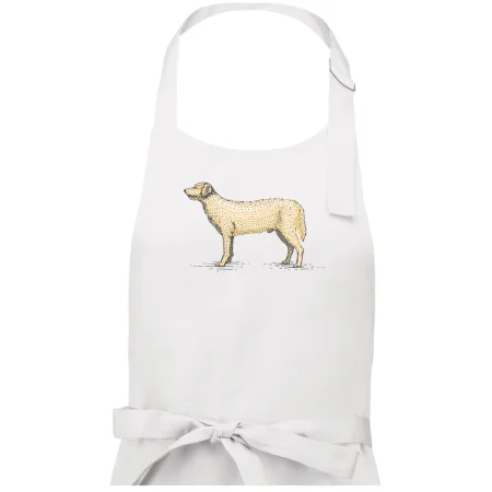 Vintage Labrador
