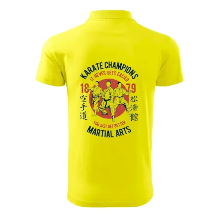 Karate Champions