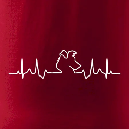 Borderská kólia EKG