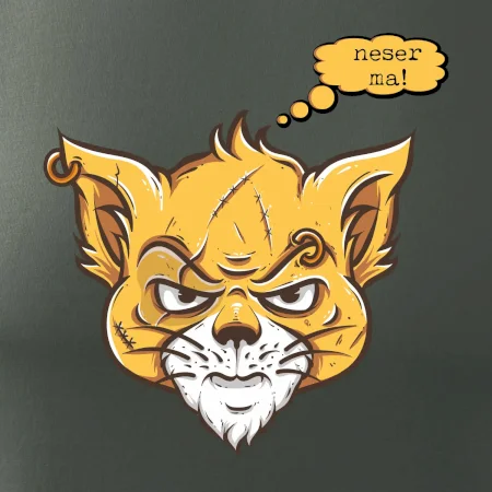 Mačka 