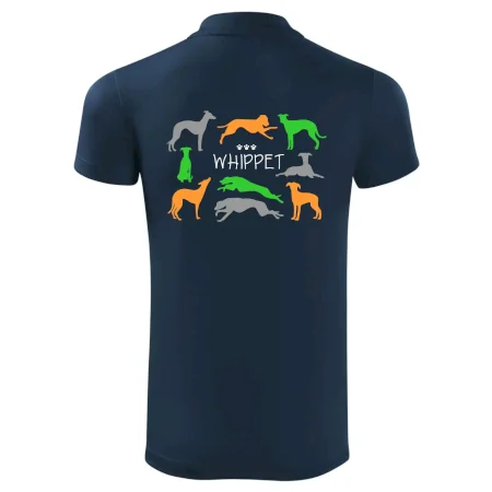 Whippet farebný