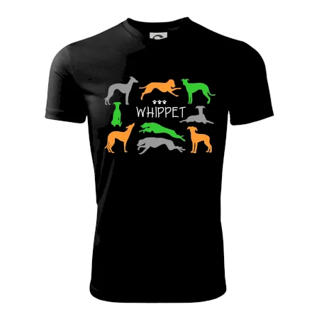 Whippet farebný