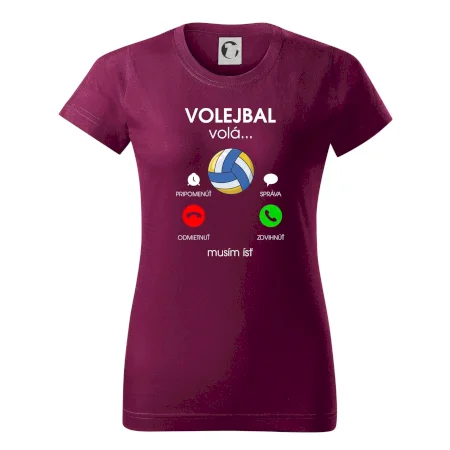 Volejbal volá