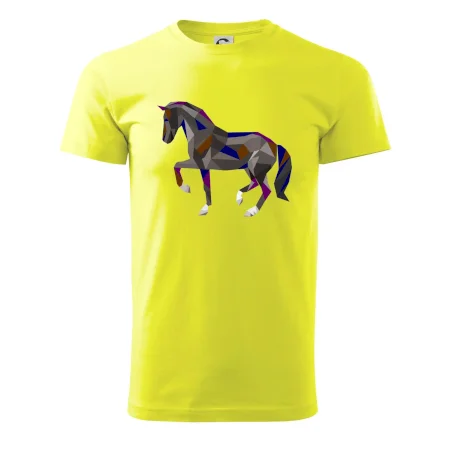 Kôň geometria farebný