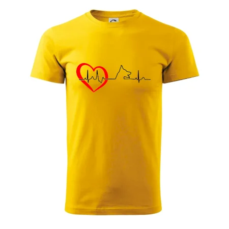 Nemecký ovčiak ekg