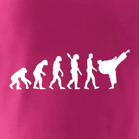 Karate Evolúcia - kop